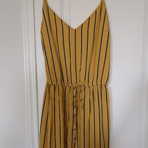 Yellow Striped Romber